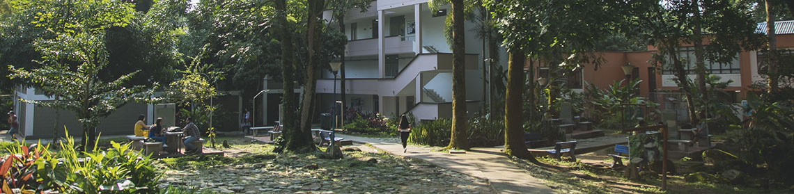 Imagen del campus de Unibagué donde se puede visualizar el edificio administrativo de Ingenierías 